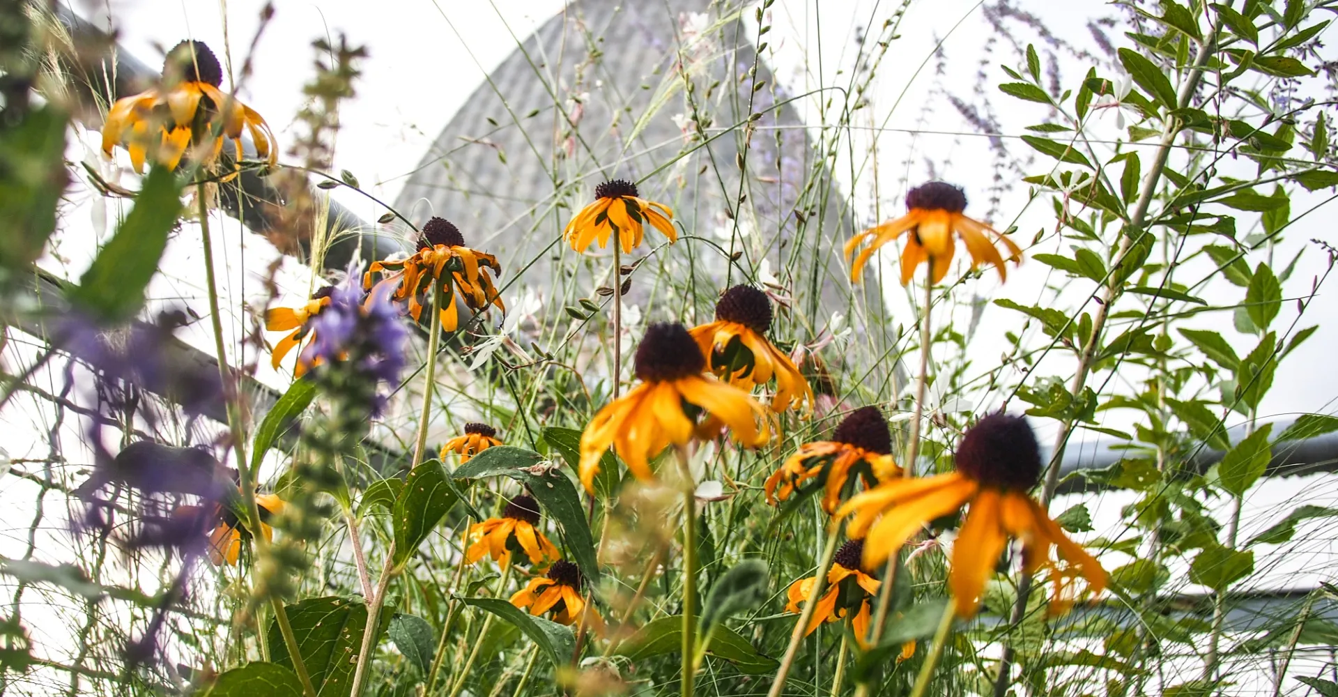 Terrazzo sotto la mole Torino