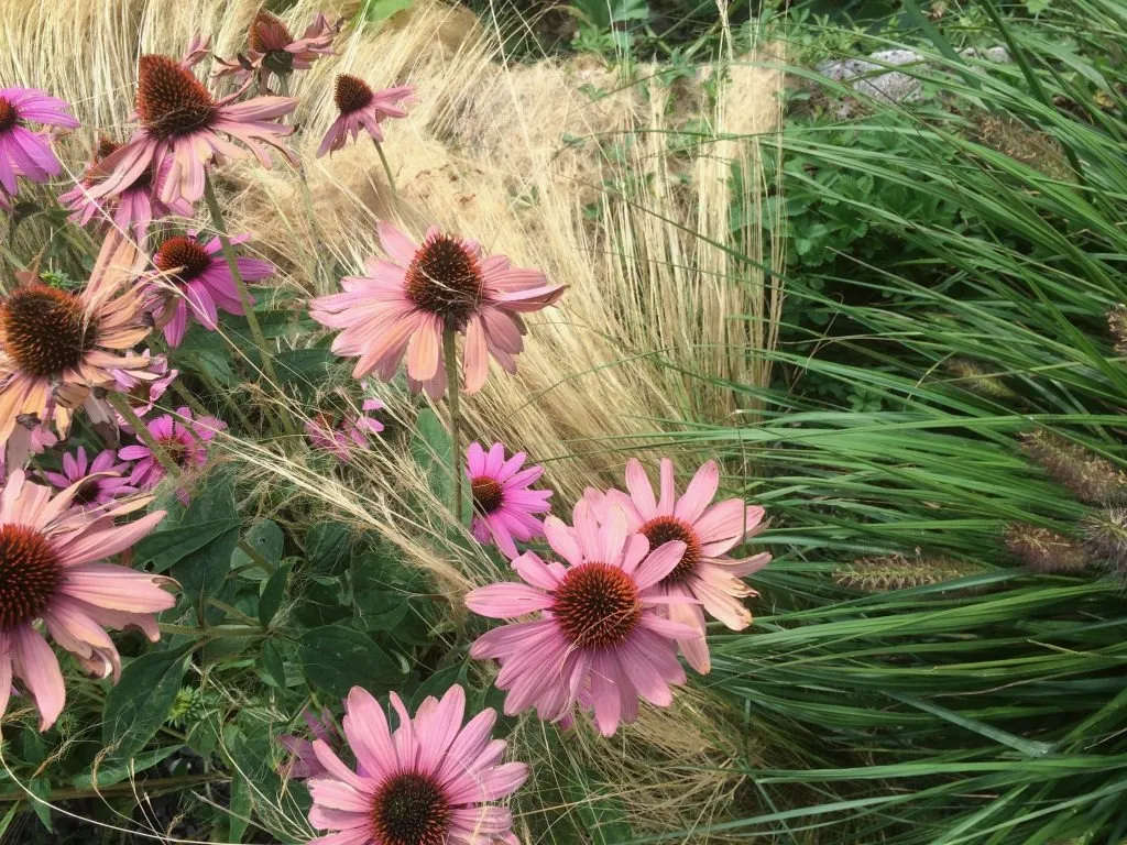 terrazzo graminacee 06 1920 1000 80 c