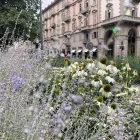 matteotti3
