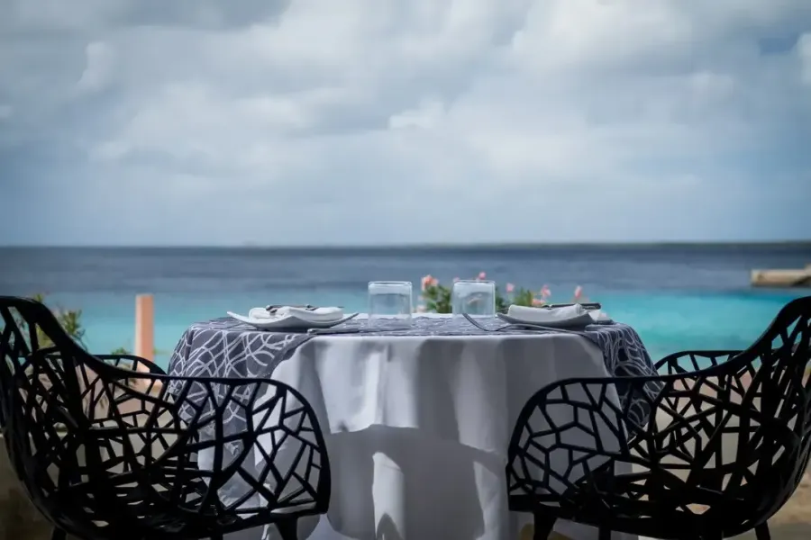 Fast - Forest poltroncine