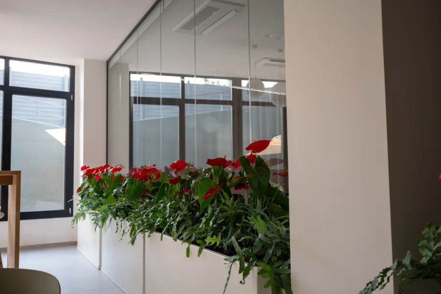 08 domino s head quarter