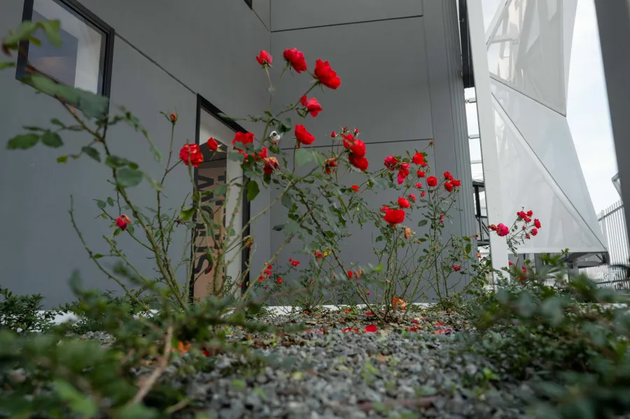 17 domino s head quarter