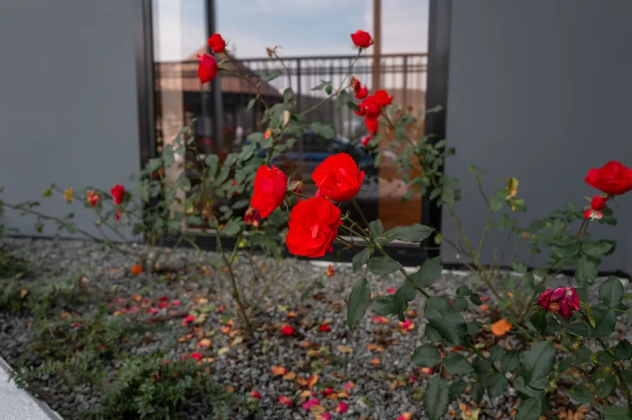 18 domino s head quarter