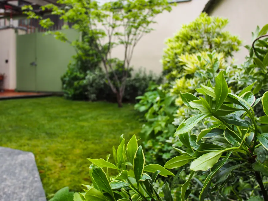 Il giardino del Sindachì