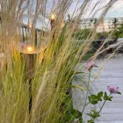 35 loft in san salvario