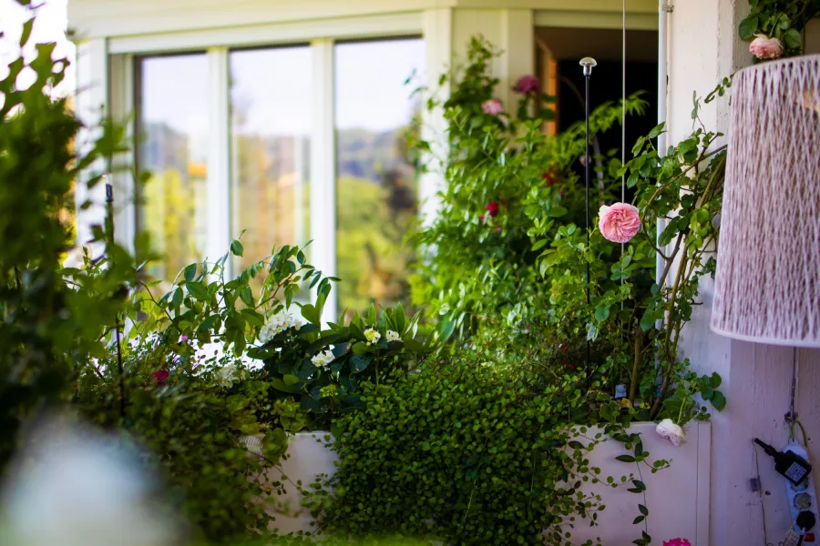 fioriere su misura con piante