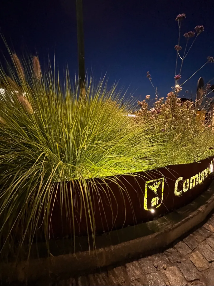 Rotonda stradale con bordura in corten e pennisetum