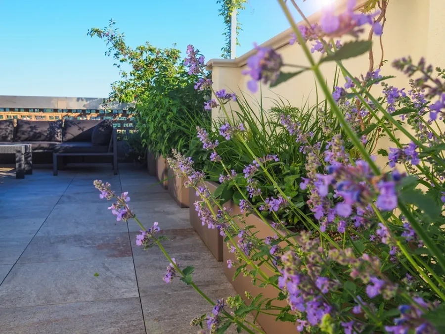 terrazzo vista collina