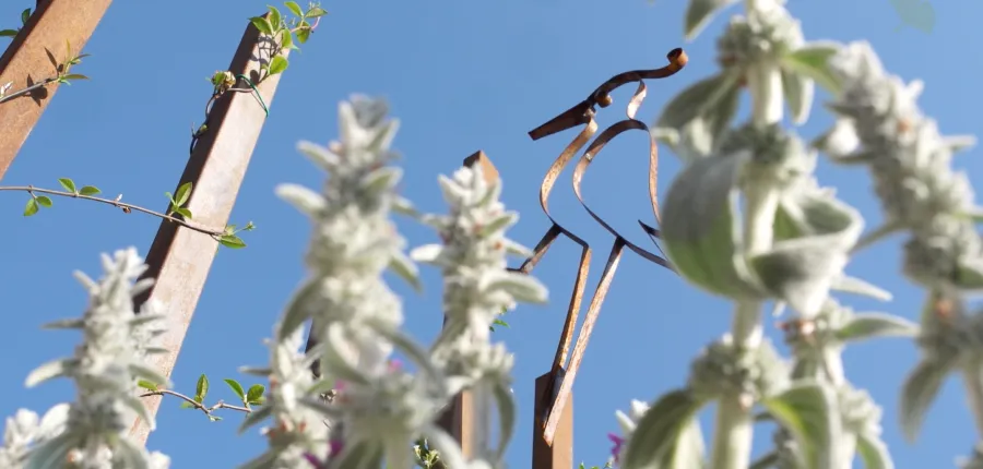 una piscina sul tetto