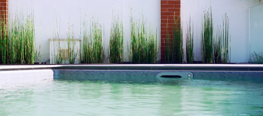 una piscina sul tetto